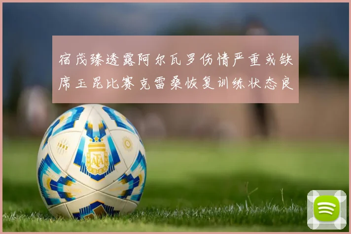 宿茂臻透露阿尔瓦罗伤情严重或缺席玉昆比赛克雷桑恢复训练状态良好